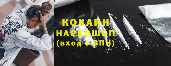 крисы Богородицк