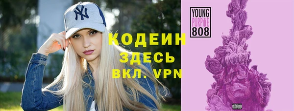 крисы Богородицк