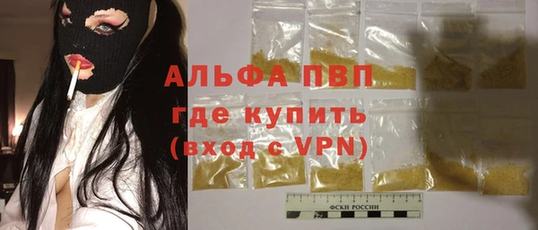 крисы Богородицк