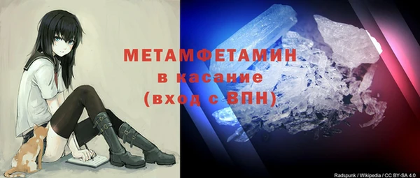 крисы Богородицк
