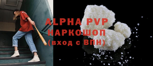 крисы Богородицк