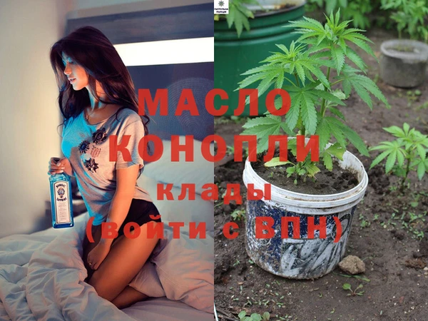 крисы Богородицк